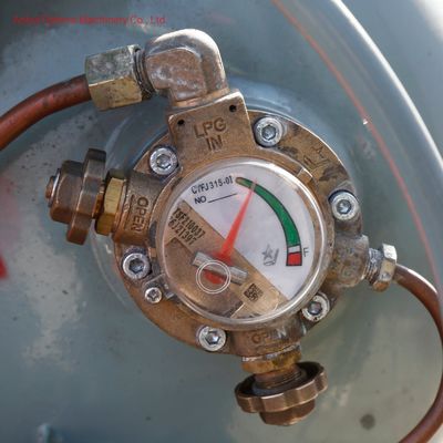 LPG Gas Dual Fuel Petrol LPG Gasoline Forklift Fg20 with Impco Omft Standard Ce ISO SGS